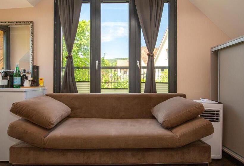 Номер Стандарт с Балконом, Bnb Comfort Guesthouse Olten   Lostorf