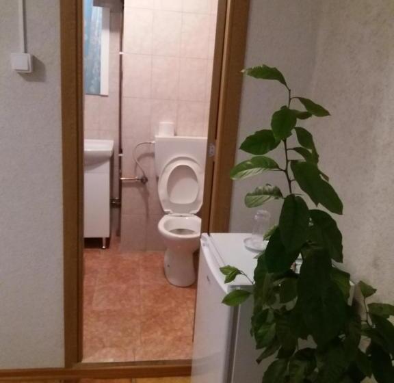 스탠다드 룸, Casa Rodisa