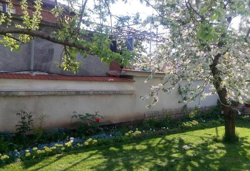 Дом 3 Спальни, Bobekova Kashta