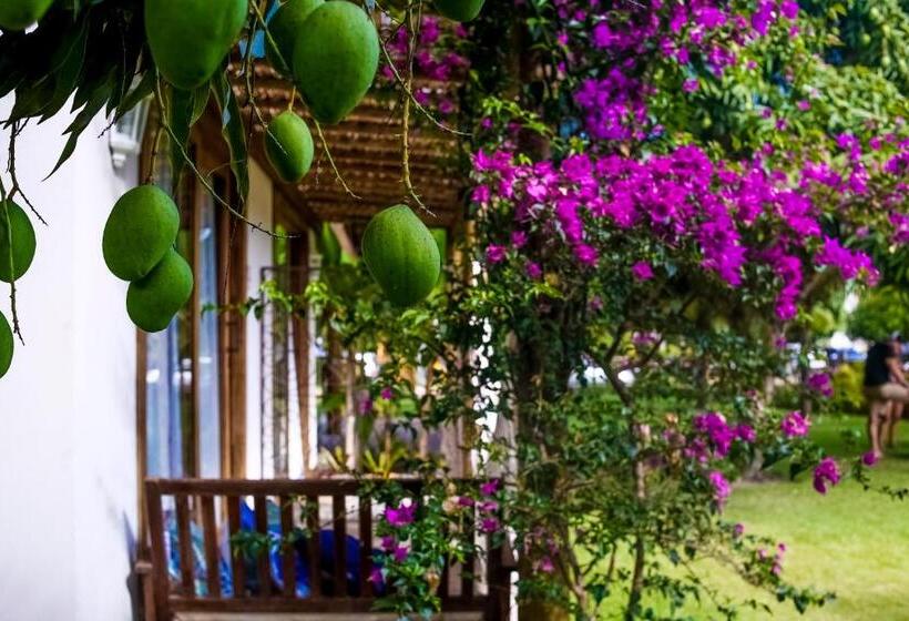 سوئیت با بالکن, Pé Na Areia   Lá Em Casa