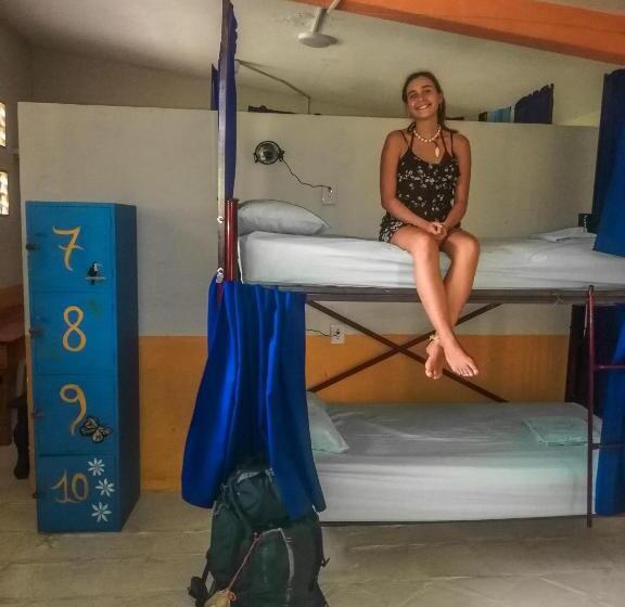 ルームシェアのワンベッド, Tower Bridge Hostel