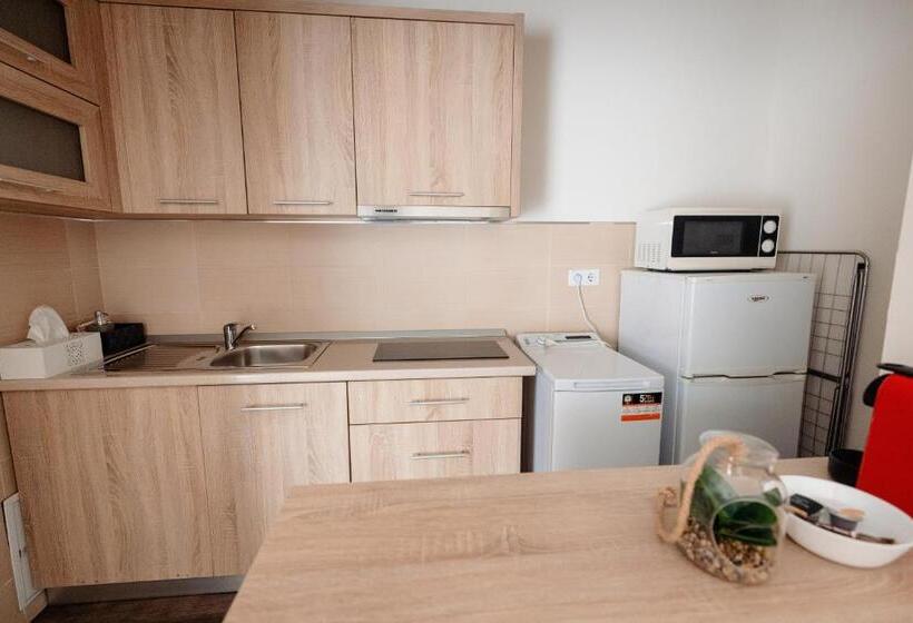 اتاق لوکس, Aparthotel Punct Pe I