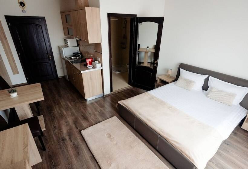 اتاق لوکس, Aparthotel Punct Pe I