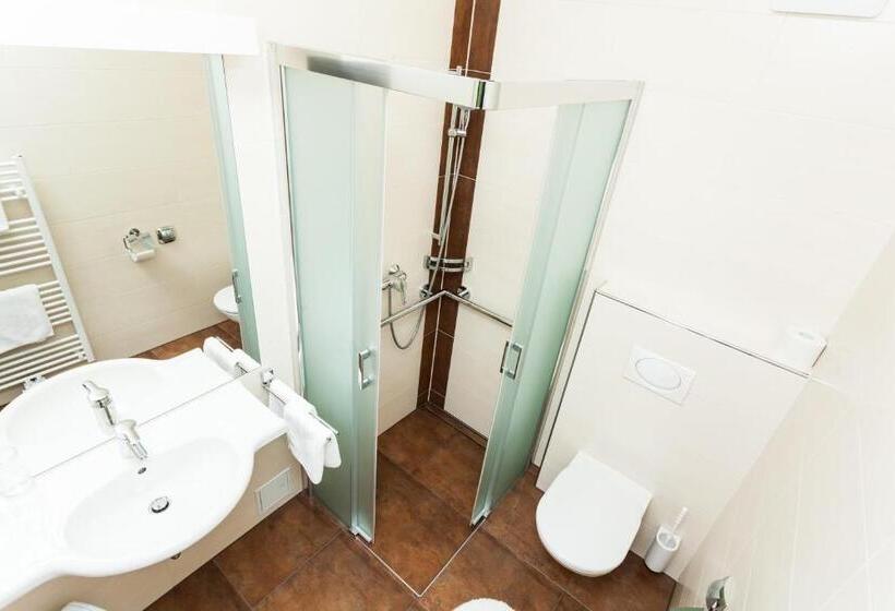 高级大房间, Gästehaus Ferk   Frühstückspension, Bed & Breakfast