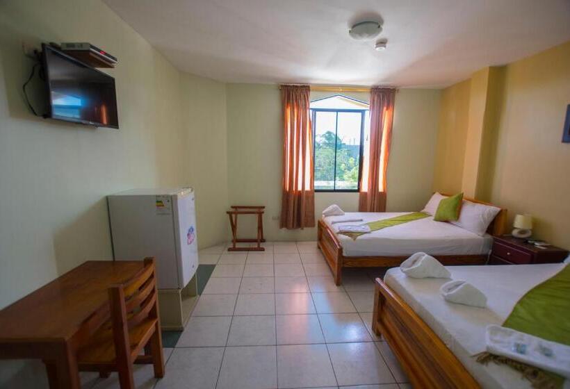 Номер Стандарт, Hostal Andry