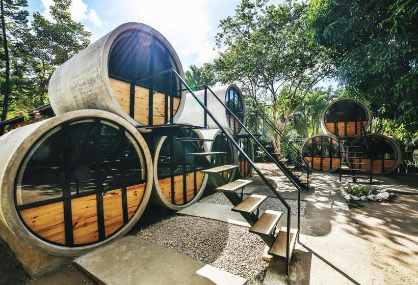 اتاق استاندارد, Pipe House Playa Grande
