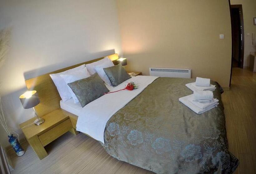 استودیو استاندارد با بالکن, Apartments Villa Splendor