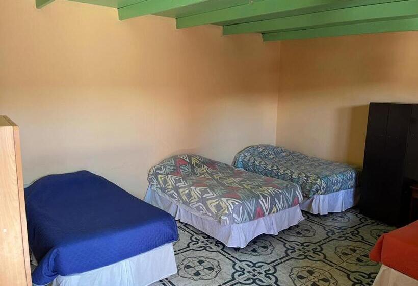 اتاق استاندارد چهارنفره با چشم‌انداز باغ, Hostal Tuyasto