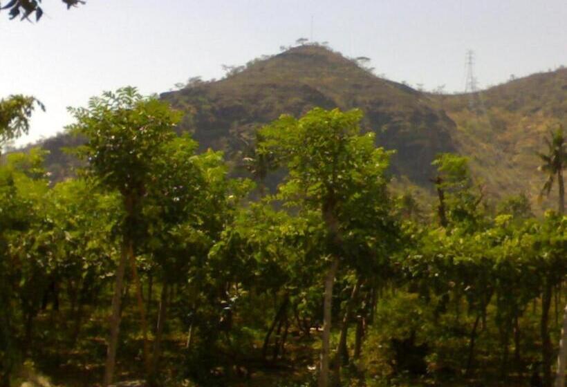 스탠다드 룸, Gunung Mas Pemuteran