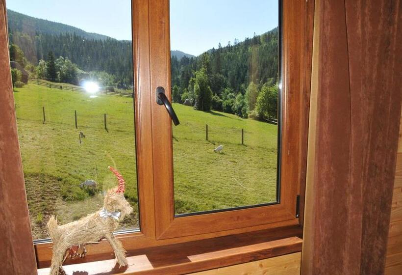 اتاق استاندارد با چشم‌انداز کوهستان, Kozichky Guest House