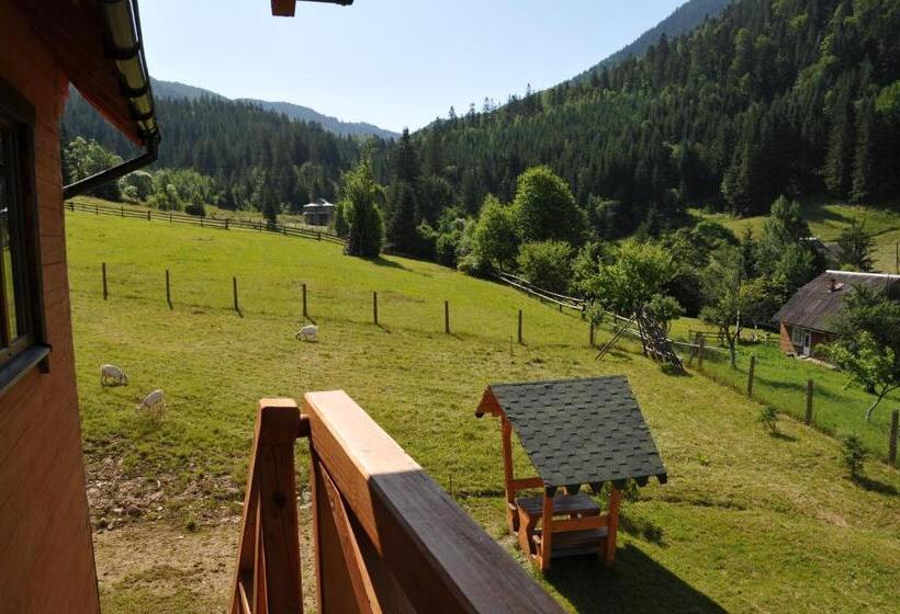اتاق استاندارد با چشم‌انداز کوهستان, Kozichky Guest House
