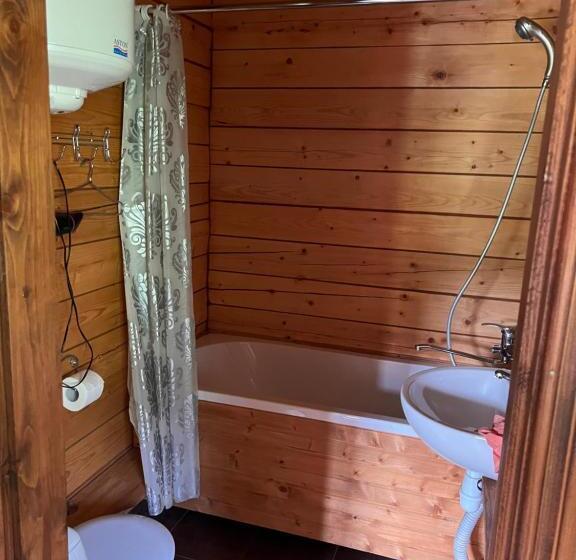 استودیو استاندارد با تخت کینگ, Kozichky Guest House