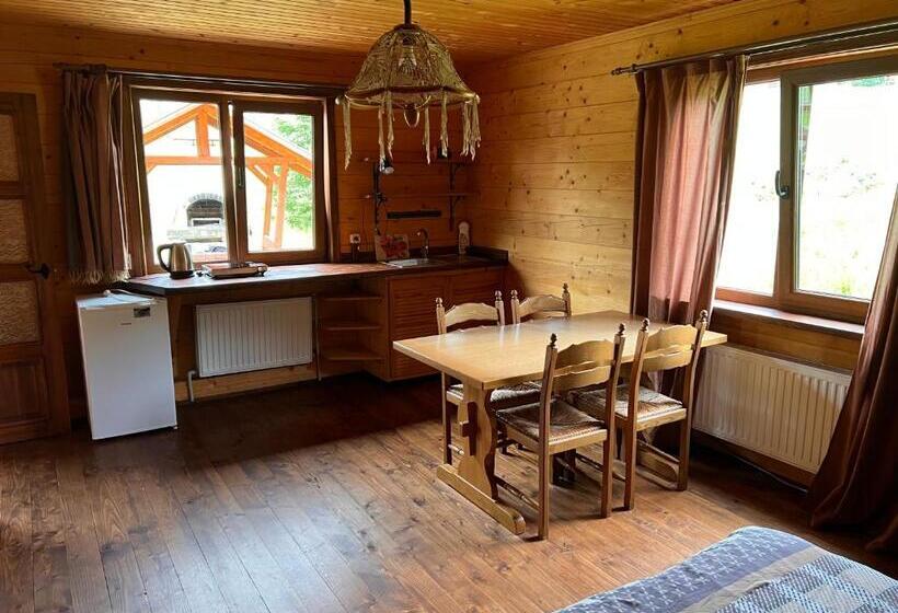 استودیو استاندارد با تخت کینگ, Kozichky Guest House