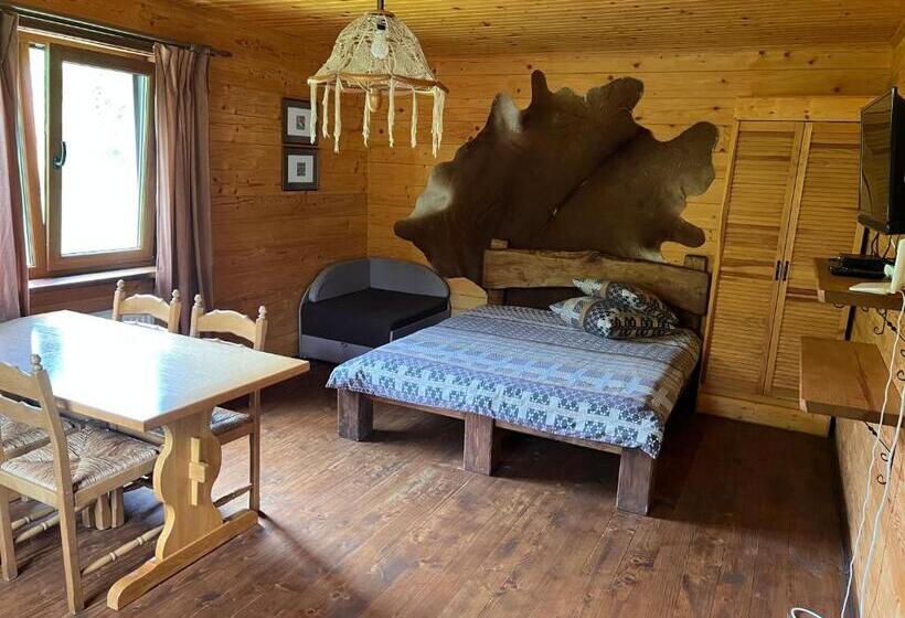 استودیو استاندارد با تخت کینگ, Kozichky Guest House