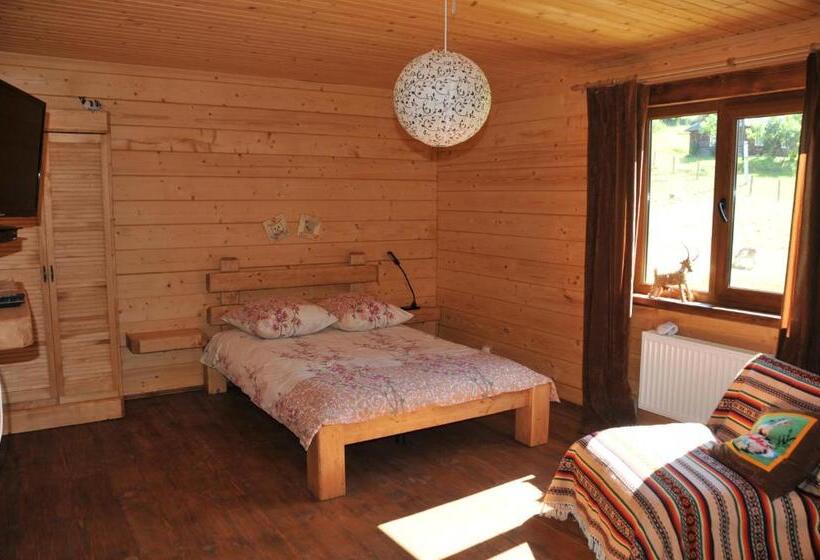 اتاق استاندارد با چشم‌انداز کوهستان, Kozichky Guest House
