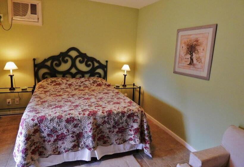 带1个卧室的豪华公寓, Pousada Quinta Do Alto