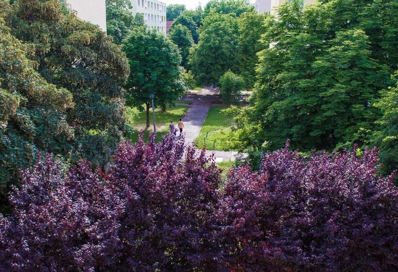 آپارتمان 1 خوابه, Nexus Vendégház Szeged