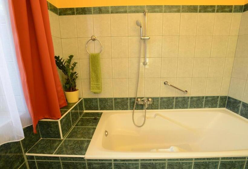 آپارتمان سوپریور 2 خوابه, Nexus Vendégház Szeged