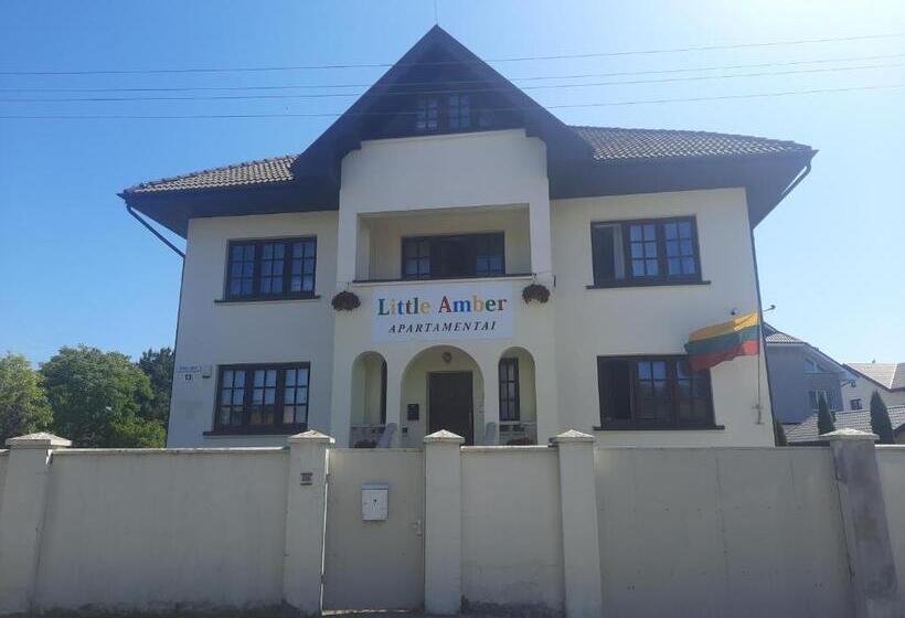 اتاق خانوادگی با سرویس بهداشتی مشترک, Little Amber Apartments