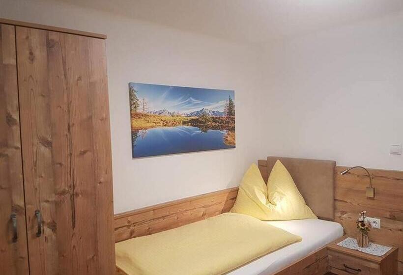 اتاق استاندارد یک نفره, Oberauer Wagrain   Die Eco Familien Hotelpension B&b