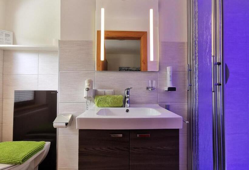 اتاق استاندارد یک نفره, Oberauer Wagrain   Die Eco Familien Hotelpension B&b