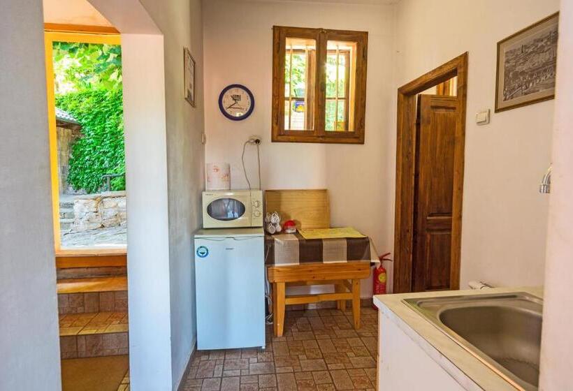 اتاق استاندارد با سرویس بهداشتی مشترک, Hostel Pashov