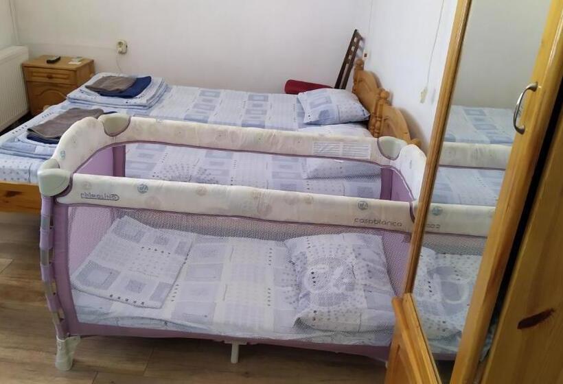 اتاق استاندارد با سرویس بهداشتی مشترک, Hostel Pashov