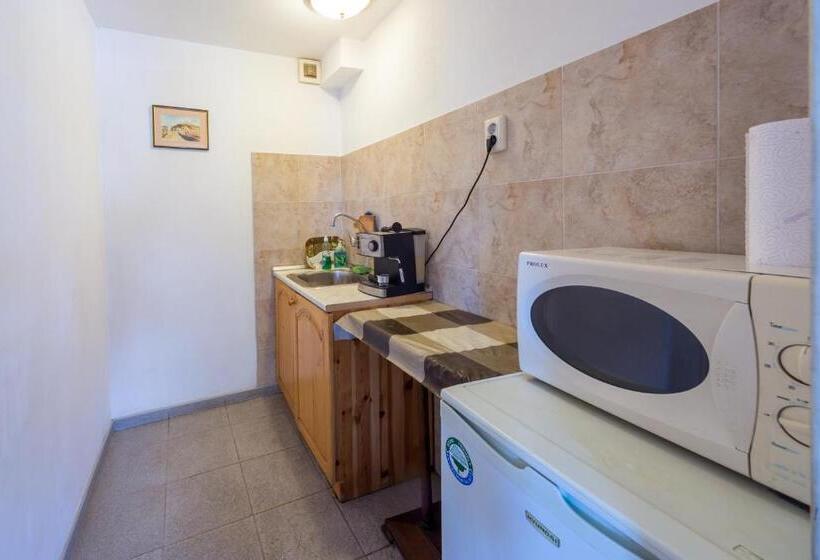 اتاق استاندارد, Hostel Pashov