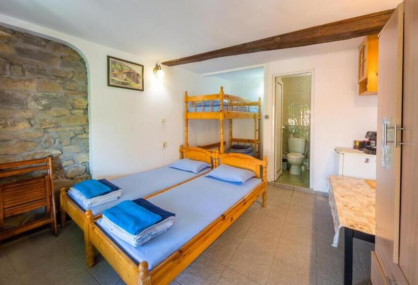 اتاق استاندارد چهار تخته, Hostel Pashov
