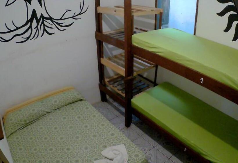 اتاق چهار تخته با دستشویی مشترک, Hostel Freedive Inn