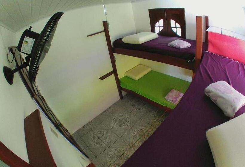 تختخواب در اتاق مشترک, Hostel Freedive Inn