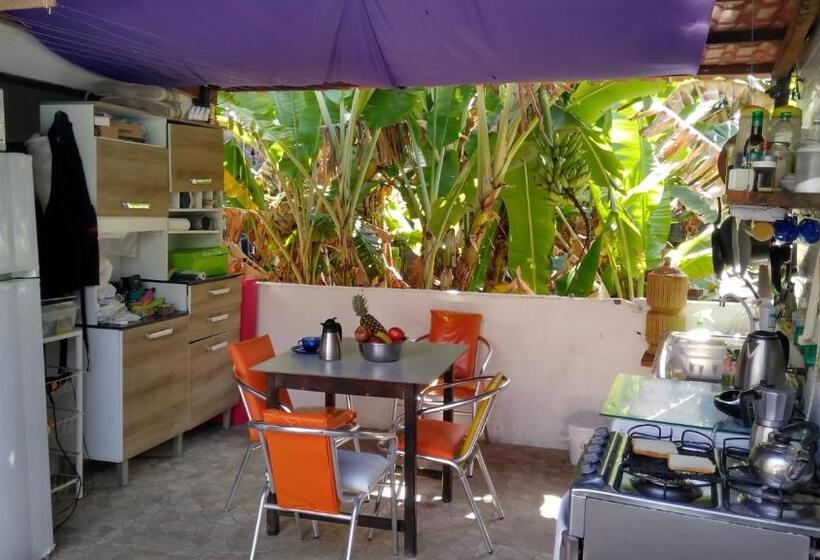 تختخواب در اتاق مشترک, Hostel Freedive Inn