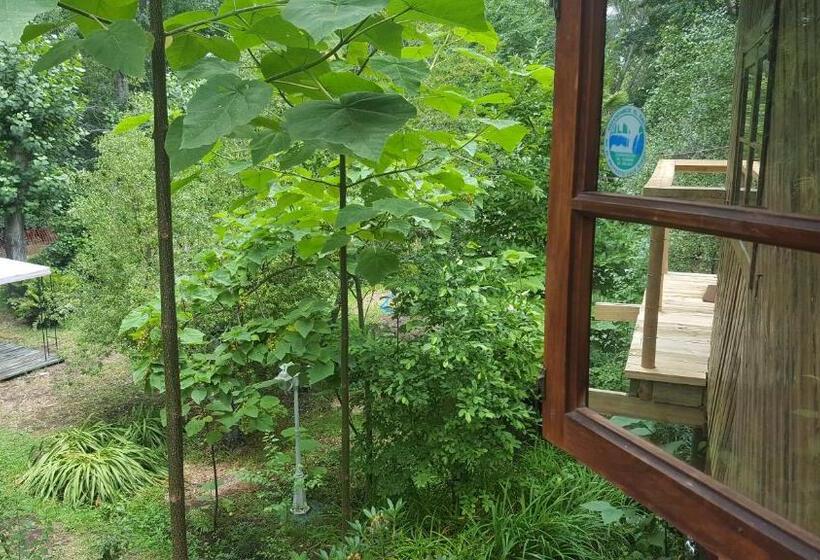 سوییت خانوادگی, El Rincon Eco