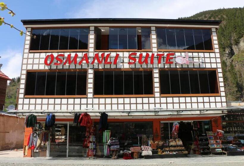 Апартаменты 1 Спальня с Видом, Osmanlı Suite