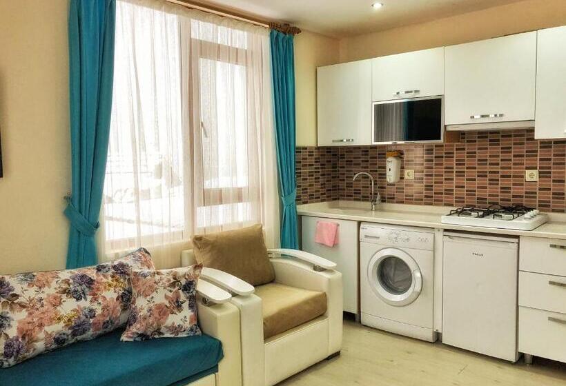 Апартаменты 1 Спальня с Видом, Osmanlı Suite