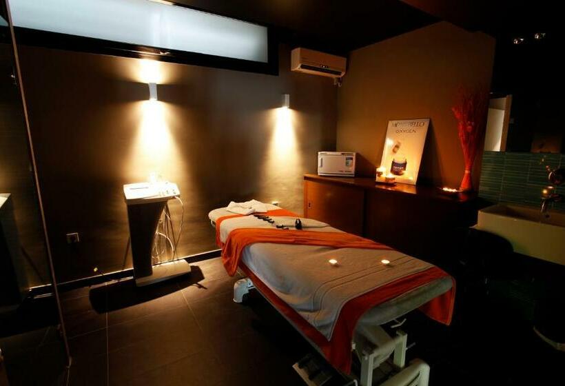 اتاق استاندارد با دسترسی به اسپا, Spa Sinagoga