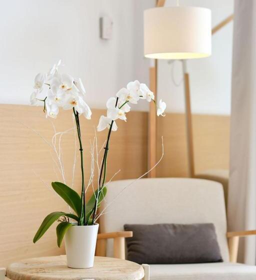 Quarto Estandar, Villa Chiquita   Adults Only   Over 12