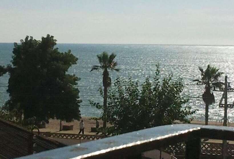 Номер Стандарт, Mitus