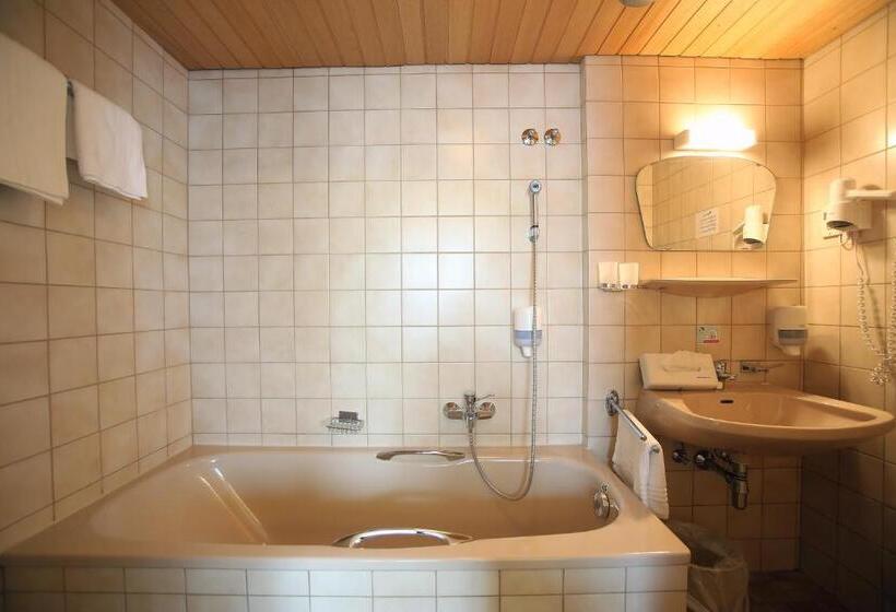 Номер Economy Индивидуальный, Aktivhotel Weisser Hirsch