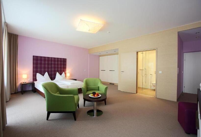 Полулюкс, Aktivhotel Weisser Hirsch