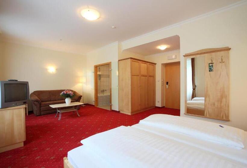 Номер Superior, Aktivhotel Weisser Hirsch