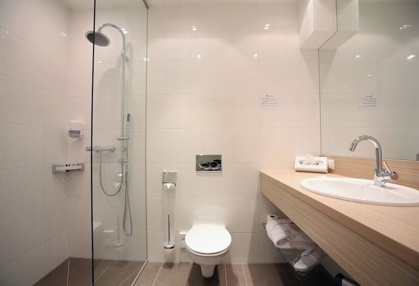 Полулюкс, Aktivhotel Weisser Hirsch