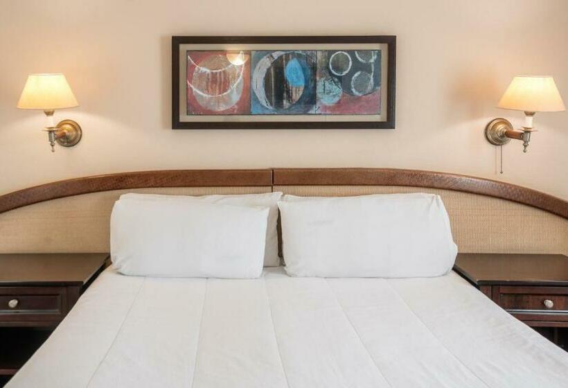 4인용 스탠다드 룸, Exe Hotel Colón