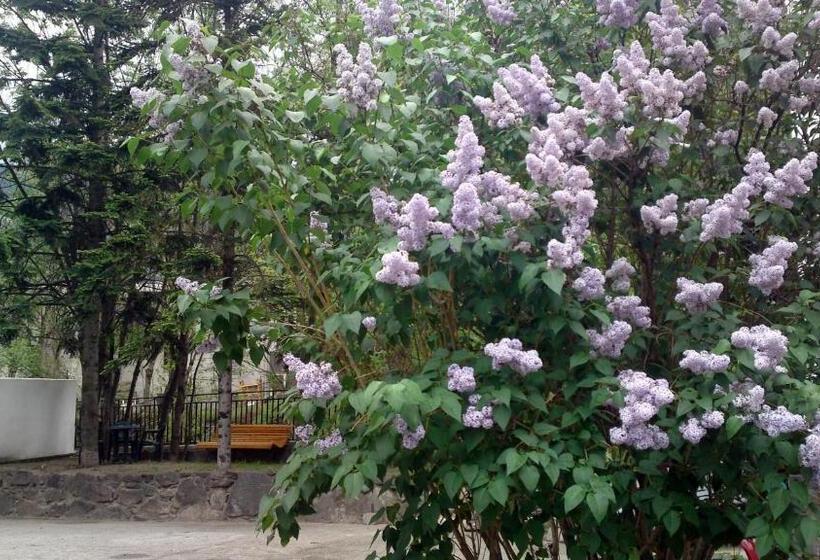اتاق استاندارد یک نفره, Peralba