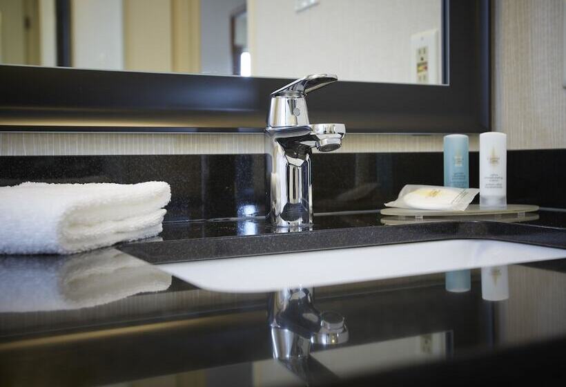 اتاق استاندارد در طبقه همکف, Comfort Inn