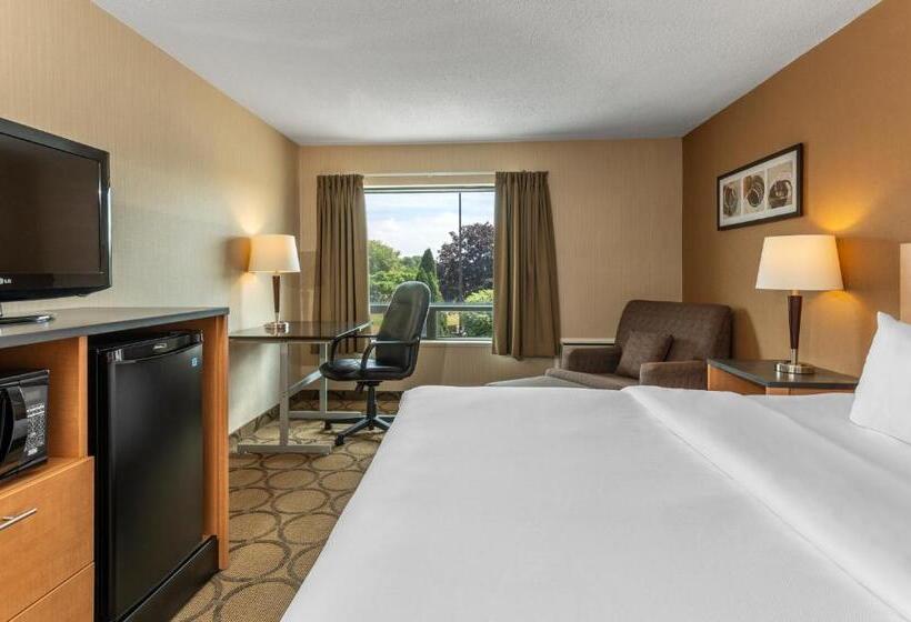 اتاق استاندارد, Comfort Inn
