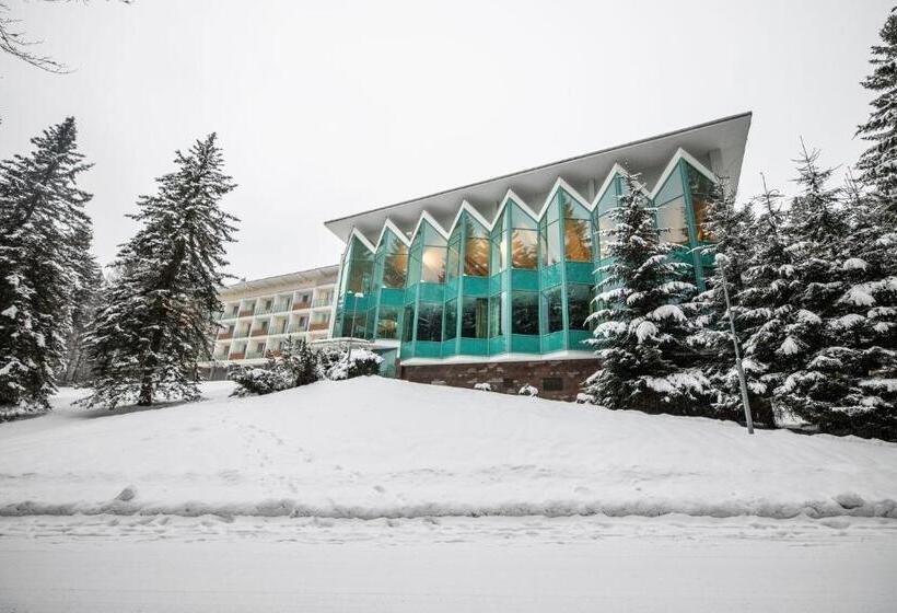 スタンダードシングルルーム, Interhotel Montana