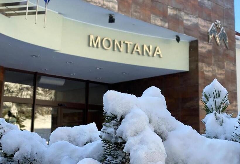 Номер Стандарт с Балконом, Interhotel Montana