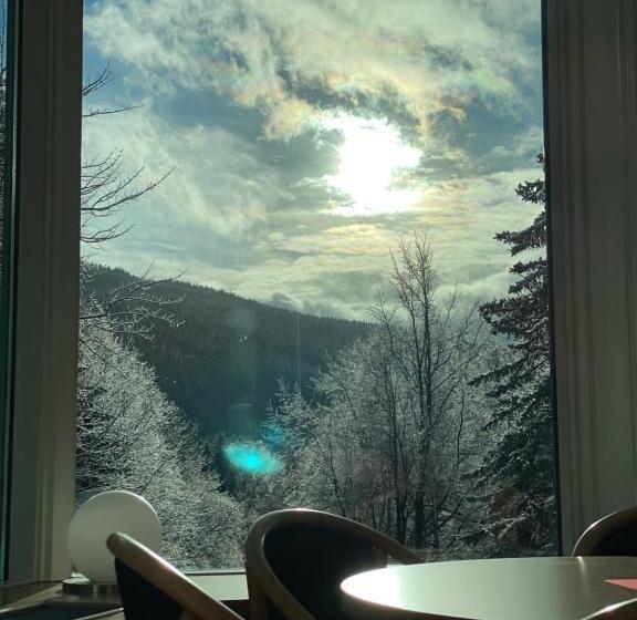Номер Стандарт Индивидуальный с Балконом, Interhotel Montana