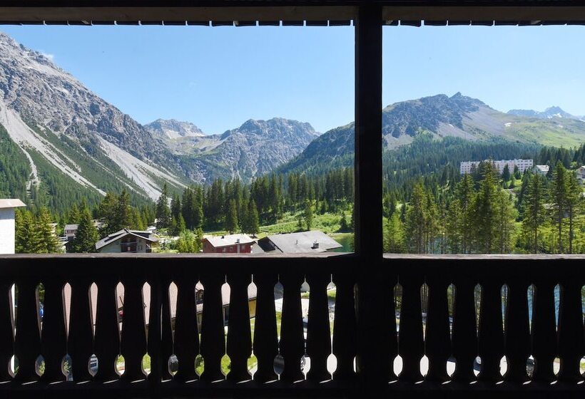 سوییت سوپریور, Seehofarosa